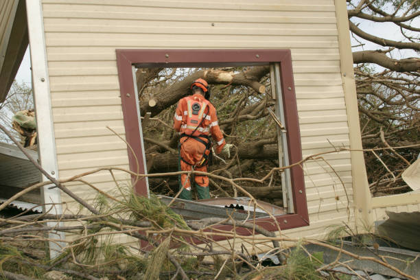Professional Tree Services in Fort Dick, CA
